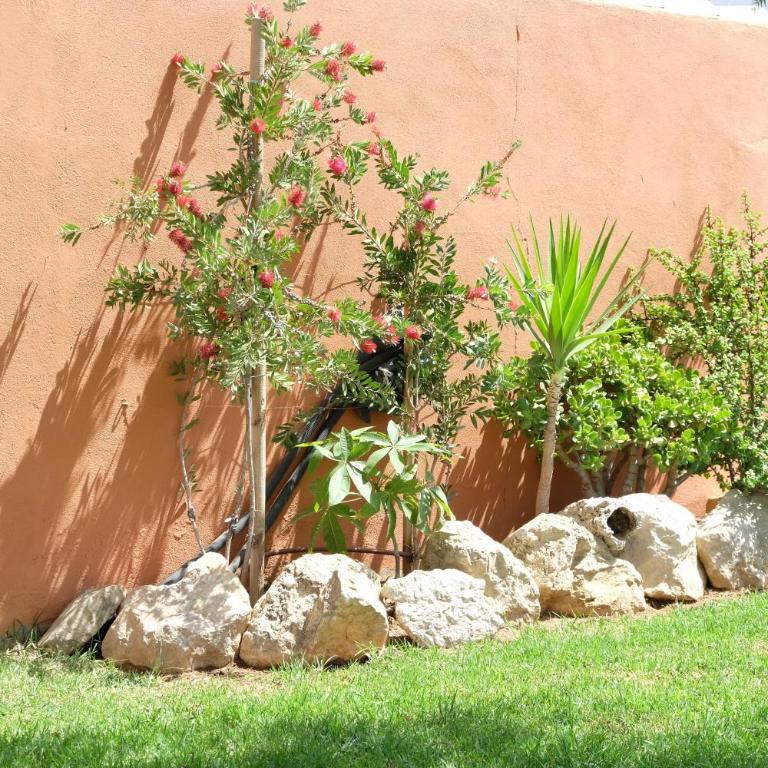 Loft con Piscina ADULTS ONLY - Loft - 16