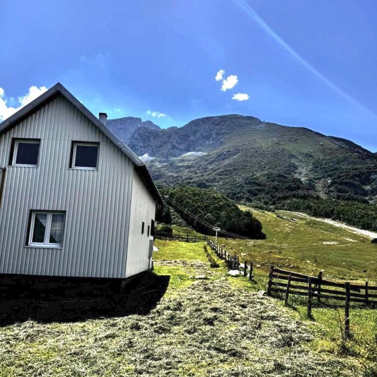 Mountain house Savin Kuk - Kuća sa 4 Spavaće Sobe - 7