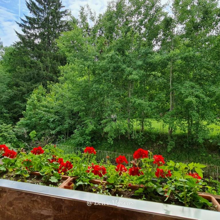 Appart-Pension Seehang - Junior Suite mit Balkon - 11
