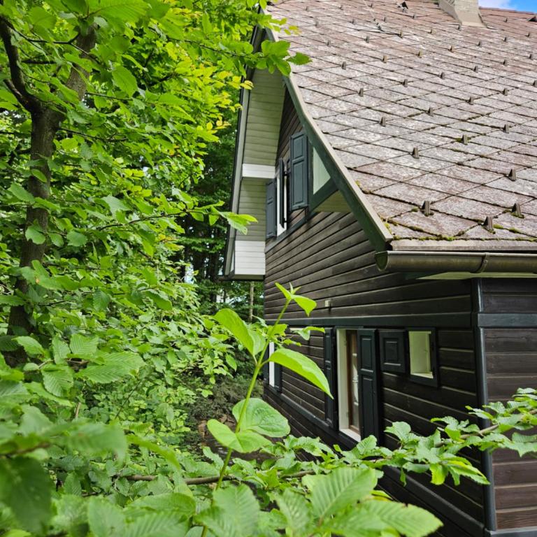 Onkel Willis Hütte - Haus mit 2 Schlafzimmern - 6
