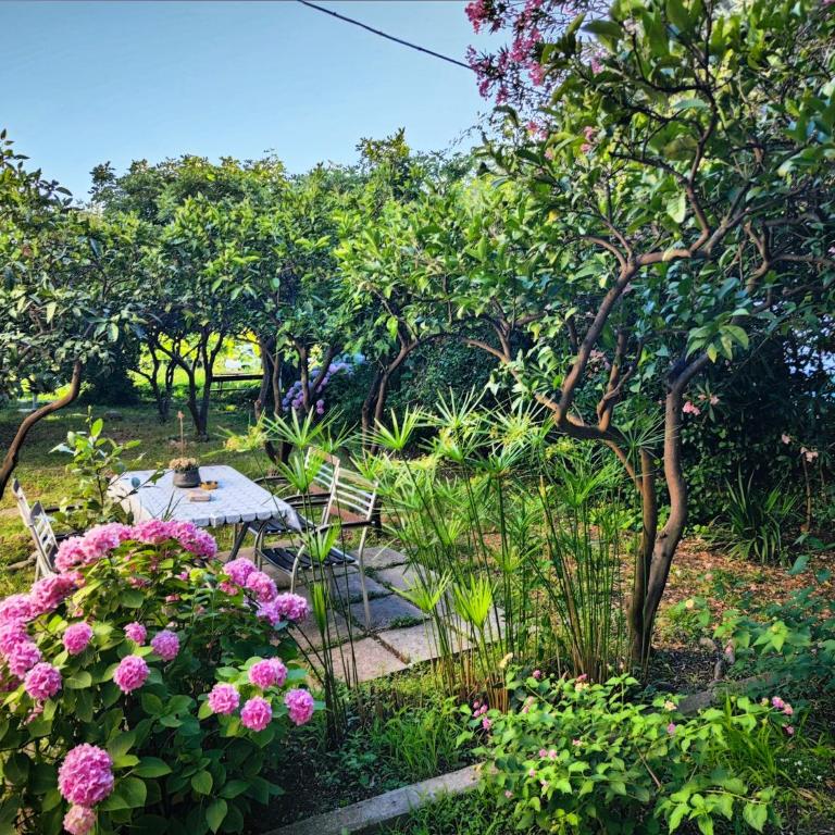 guest house BULJARICA - Three-Bedroom House - 93