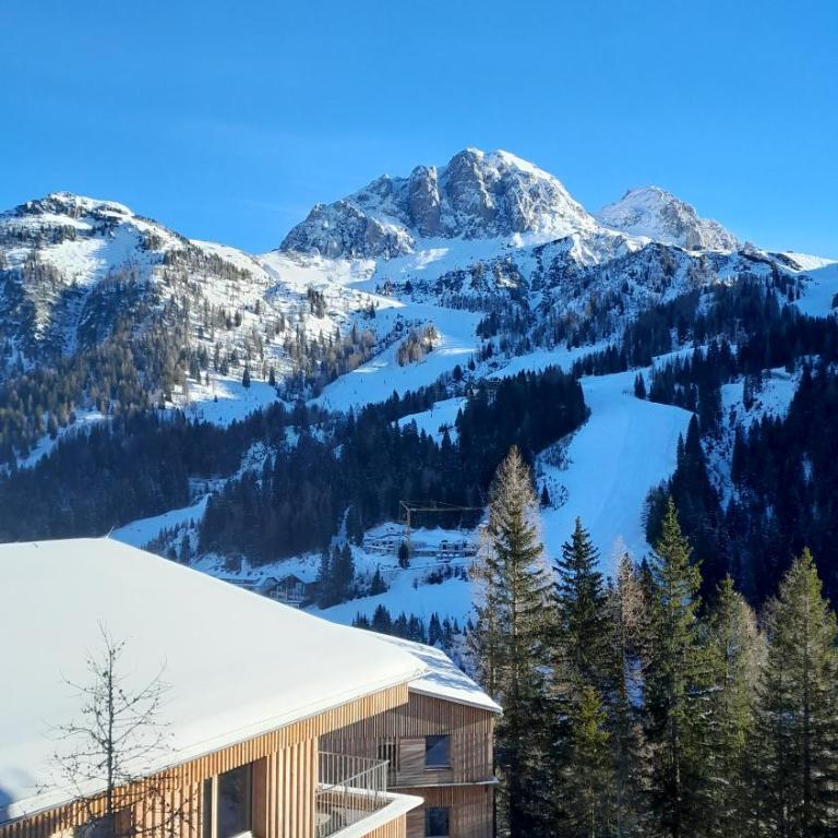 Ski Appartment Sonnalpe Nassfeld - Apartment mit 1 Schlafzimmer - 2