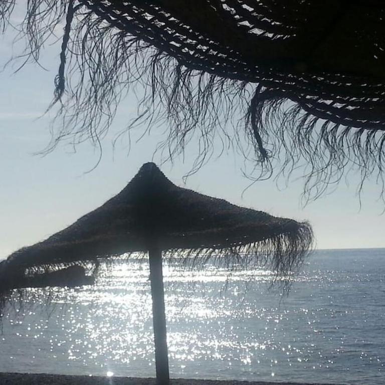 Aida en Marina del Este - Apartamento de 3 dormitorios - 51
