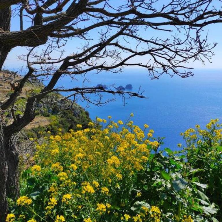Domus Smeraldo terrace and sea view Amalfi Coast - Casa con 2 Camere da Letto - 27