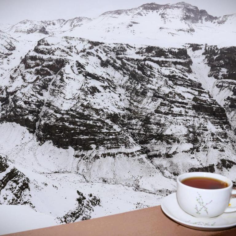 HOM I Departamento en Valle Nevado Amplio Dúplex 6PAX SKIOUT - Apartamento - 25