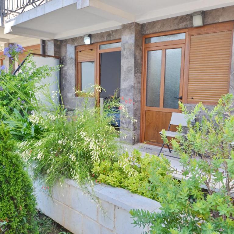 Trojanovic Apartments - Studio - 1