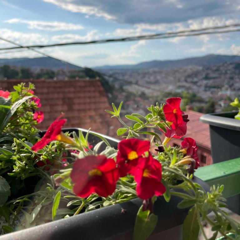 Sarajevo Cozy Attic and Backyard apartment - Apartman sa 2 Spavaće Sobe - 31