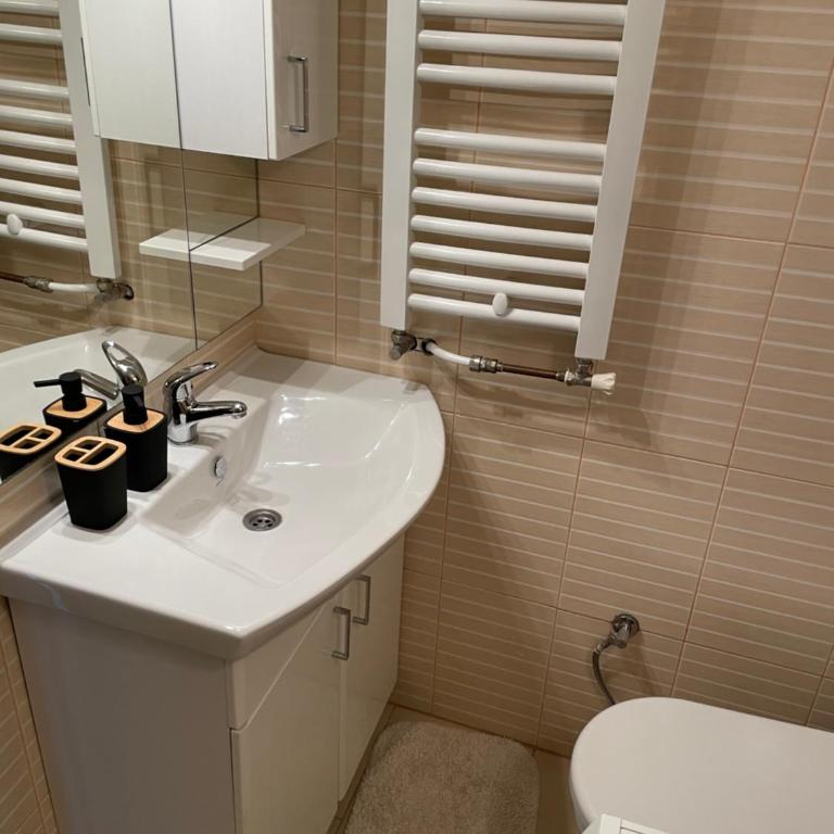 Sarajevo Cozy Attic and Backyard apartment - Apartman sa 2 Spavaće Sobe - 21