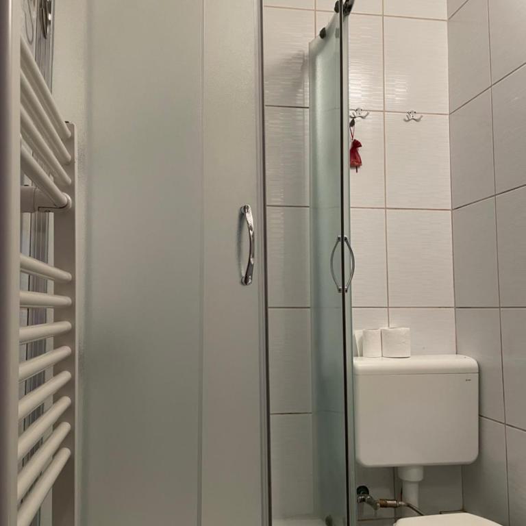 Sarajevo Cozy Attic and Backyard apartment - Apartman sa 2 Spavaće Sobe - 30