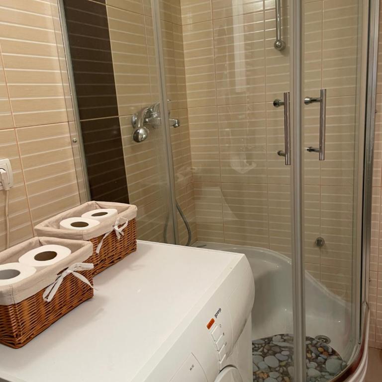 Sarajevo Cozy Attic and Backyard apartment - Apartman sa 2 Spavaće Sobe - 22
