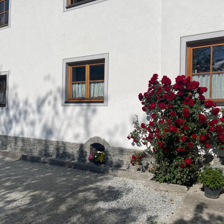 Landhaus Ganzer - Apartment - Ground Floor - 10