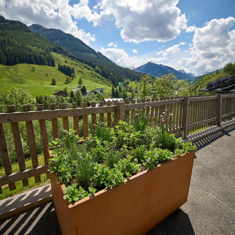 Drei Hittn Saalbach - Chalet #1 - 38