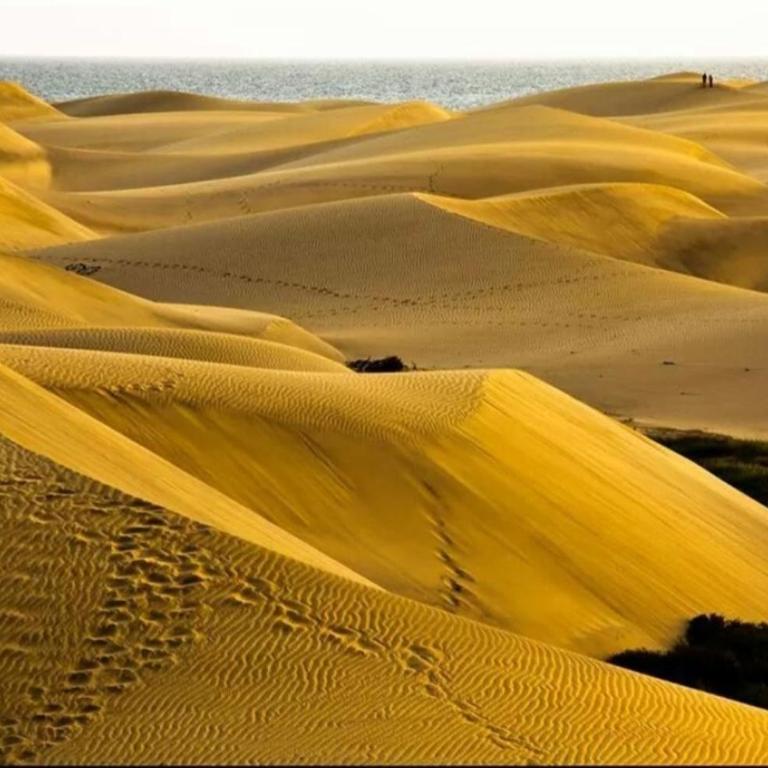 Maspalomas dunes - Apartamento de 1 dormitorio - 30
