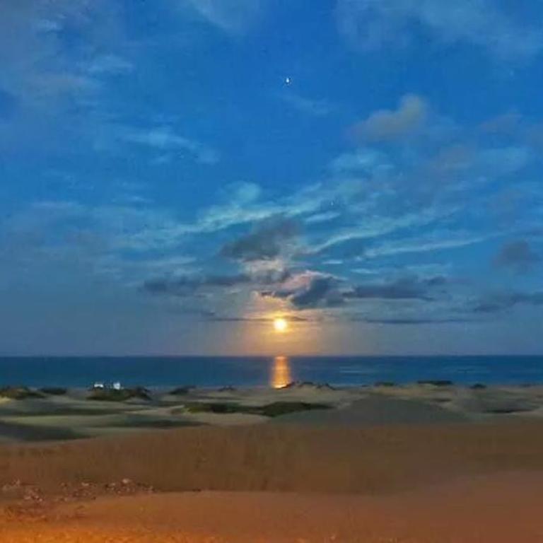 Maspalomas dunes - Apartamento de 1 dormitorio - 28