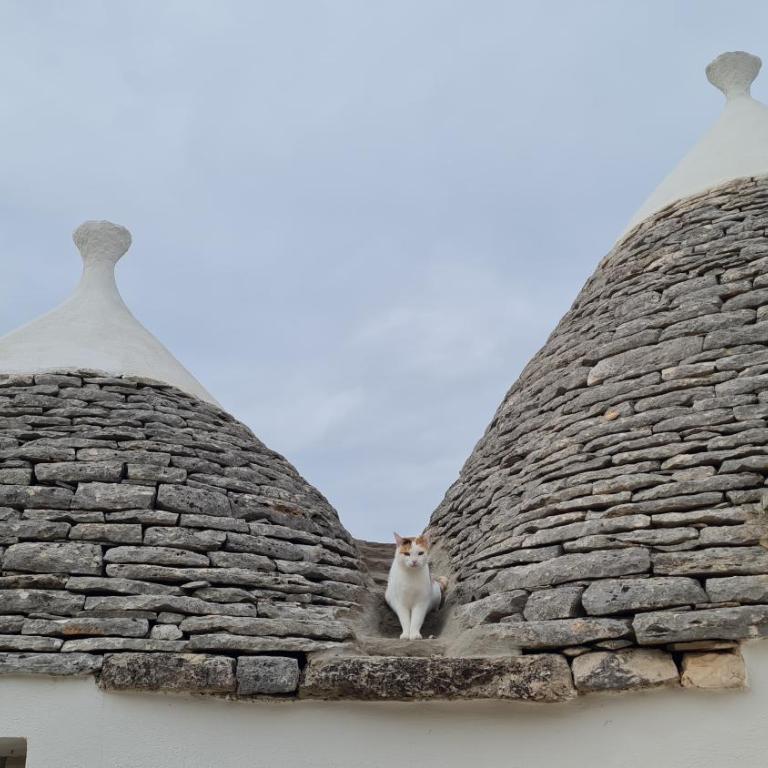 Trullo Serenità Retreat with relaxing pool area - Villa Deluxe - 23