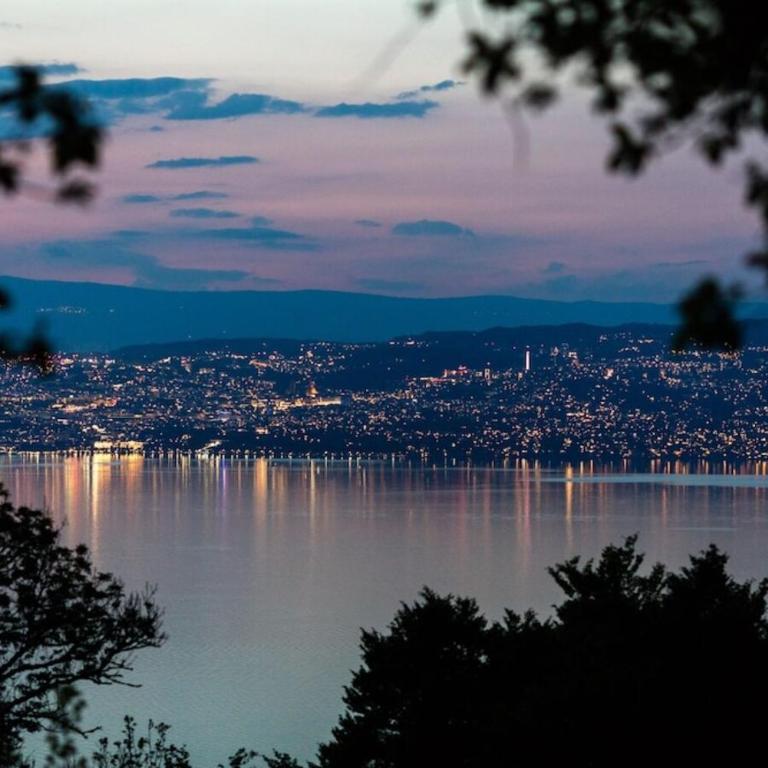 Superbe appart avec vue sur Lac - Appartement 1 Chambre - 7
