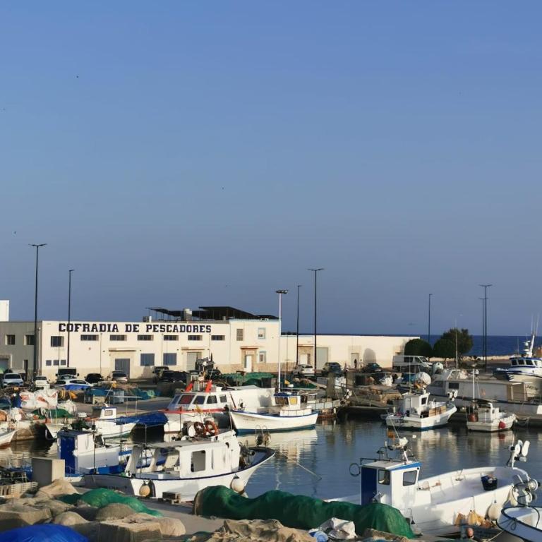Casa Bonita avec roof-top - Apartamento de 2 dormitorios - 35