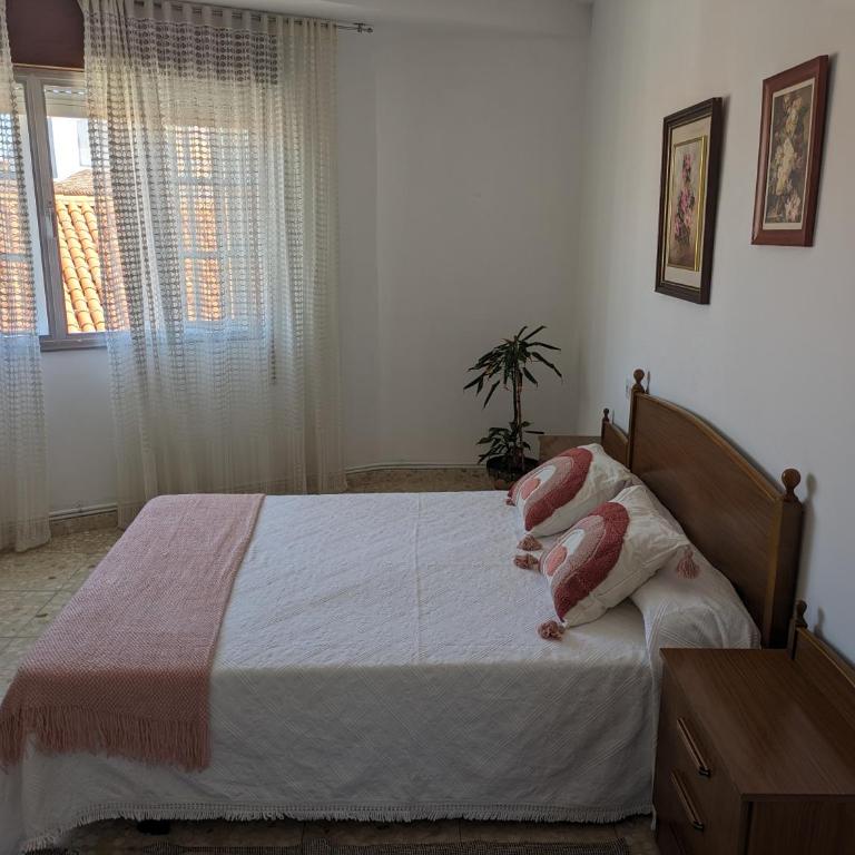 apartamento Sol - Apartamento - 17