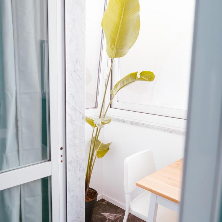 Casa di Neo - Appartamento con 3 Camere da Letto - 4