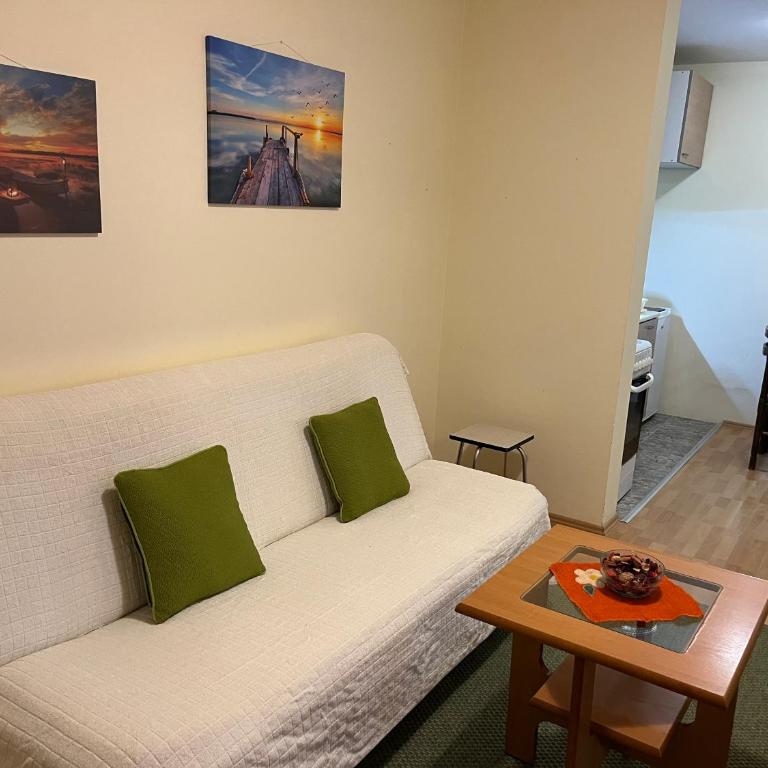 Peaceful Apartment Simovic - One-Bedroom Apartment - 6