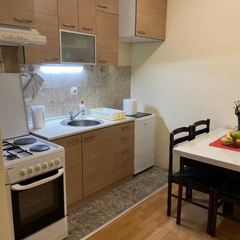 Peaceful Apartment Simovic - One-Bedroom Apartment - 4