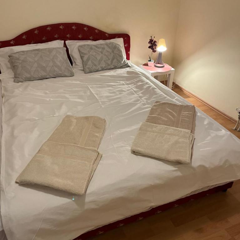 Peaceful Apartment Simovic - One-Bedroom Apartment - 1