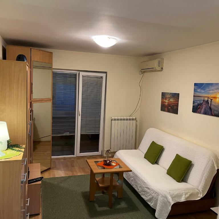 Peaceful Apartment Simovic - One-Bedroom Apartment - 11