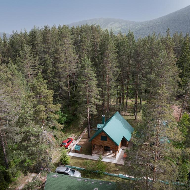 Villa Foresta - Three-Bedroom Apartment - 1