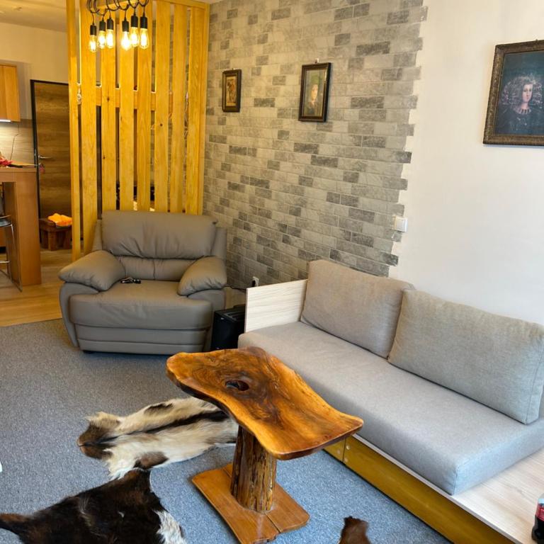 Aparthotel Jahorinski Konaci - Two-Bedroom Apartment - 30