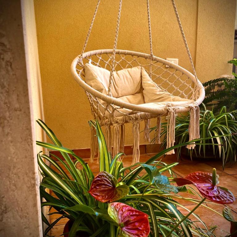 L’abete bianco - One-Bedroom Apartment - 29