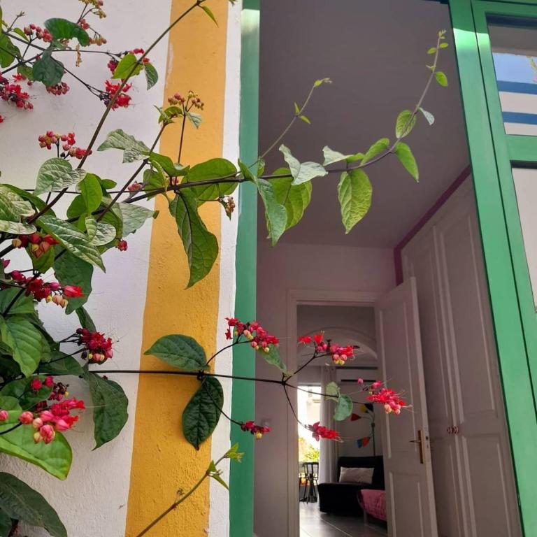 Morning Sun Apartment 229 - Apartamento de 1 dormitorio - No fumadores - 24