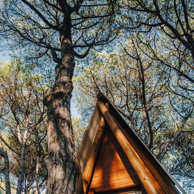 TAIGA Conil - Tienda Glamping (2 adultos) - 5