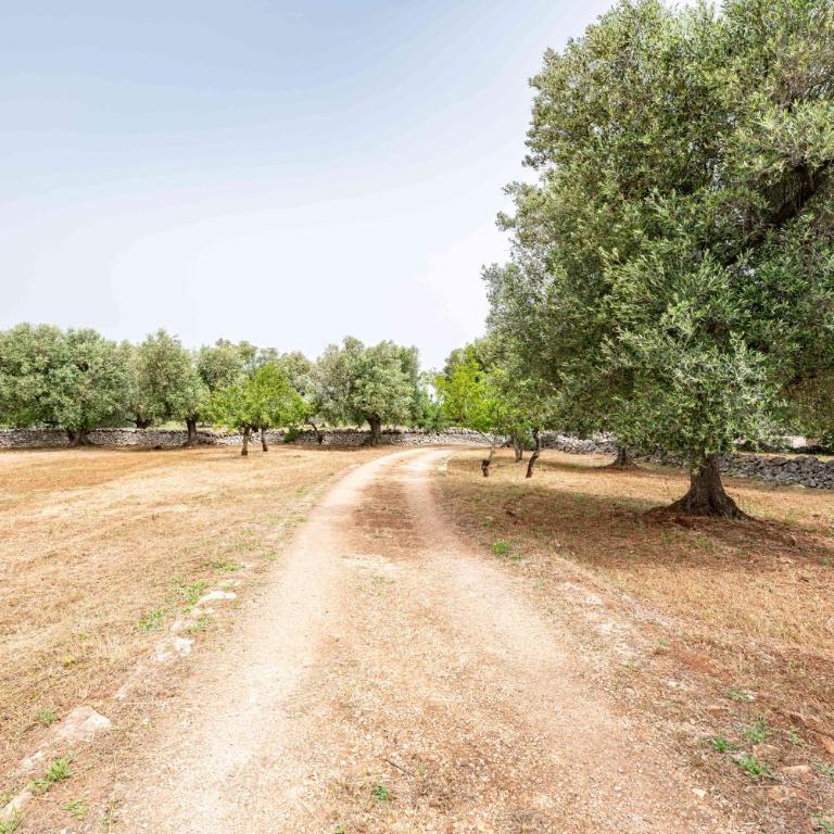 Il Trullo di Nonna Ratuccia by Rentbeat - Casa con 3 Camere da Letto - 26