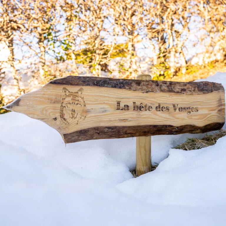 Moho Mountain Home - Appartement - Vue sur Lac - 45