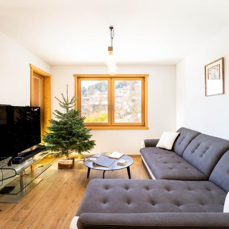 Moho Mountain Home - Appartement 3 Chambres - 11