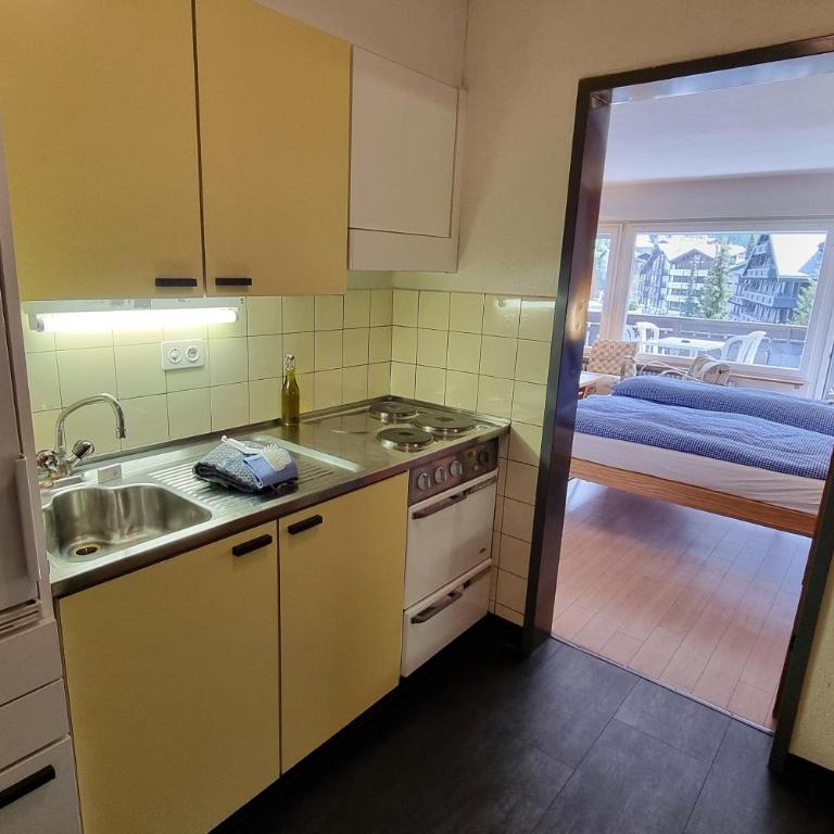 Haus Matten, Studio Findeln - Apartamento de 1 dormitorio - 10