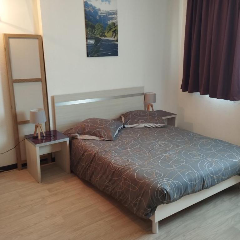Lourdes grand studio classé 2 étoiles de 1 à 4 personnes - Apartamento de 1 dormitorio - 4