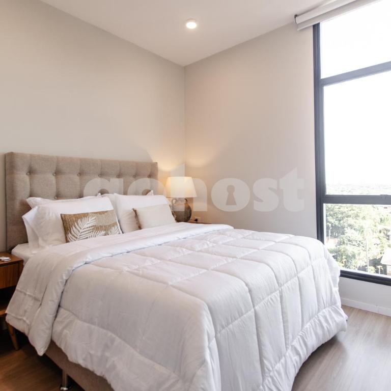 Stylish apt minutes from Shopping Mcal Lopez - Apartment - 2