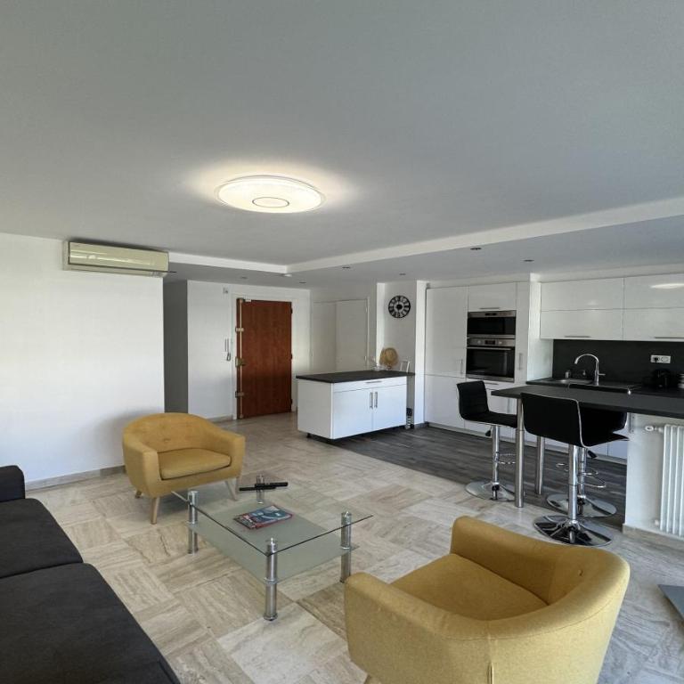 Charming 2 room , 52 m2, very spacious, bright and near sea Martinez hotel - Appartement 1 Chambre - 9