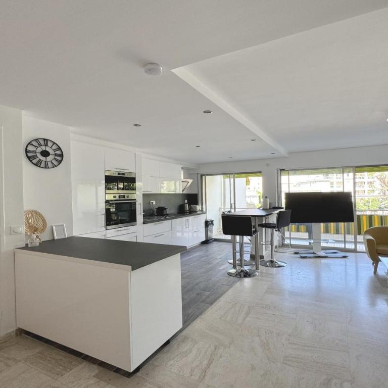 Charming 2 room , 52 m2, very spacious, bright and near sea Martinez hotel - Appartement 1 Chambre - 5