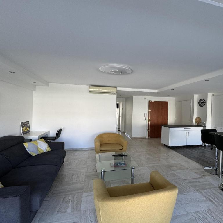 Charming 2 room , 52 m2, very spacious, bright and near sea Martinez hotel - Appartement 1 Chambre - 4