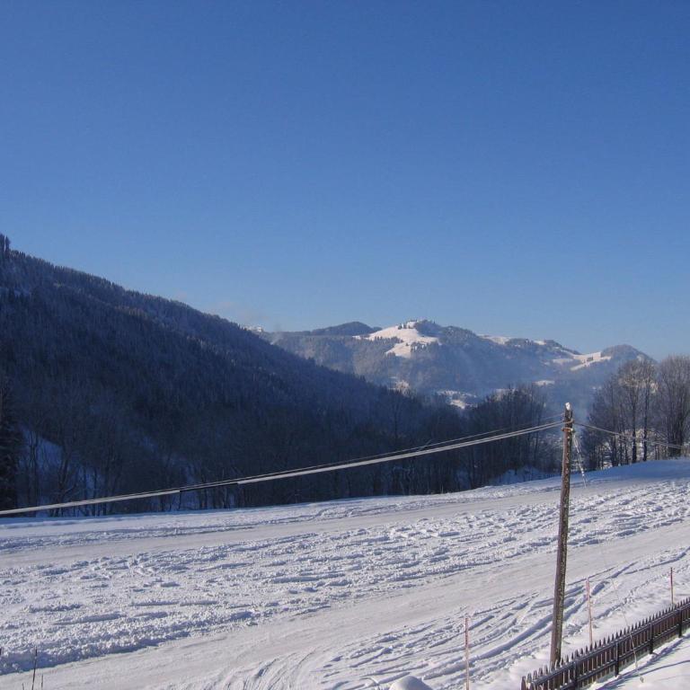 La Clusaz - 6 pers - 2 Ch - Proche pistes - Garage - FR-1-437-1 - Appartamento (6 Adulti) - 11