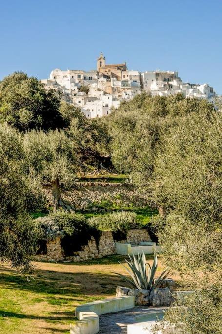 Oasi Rosara, relax in Ostuni - Villa con 3 Camere da Letto - 31