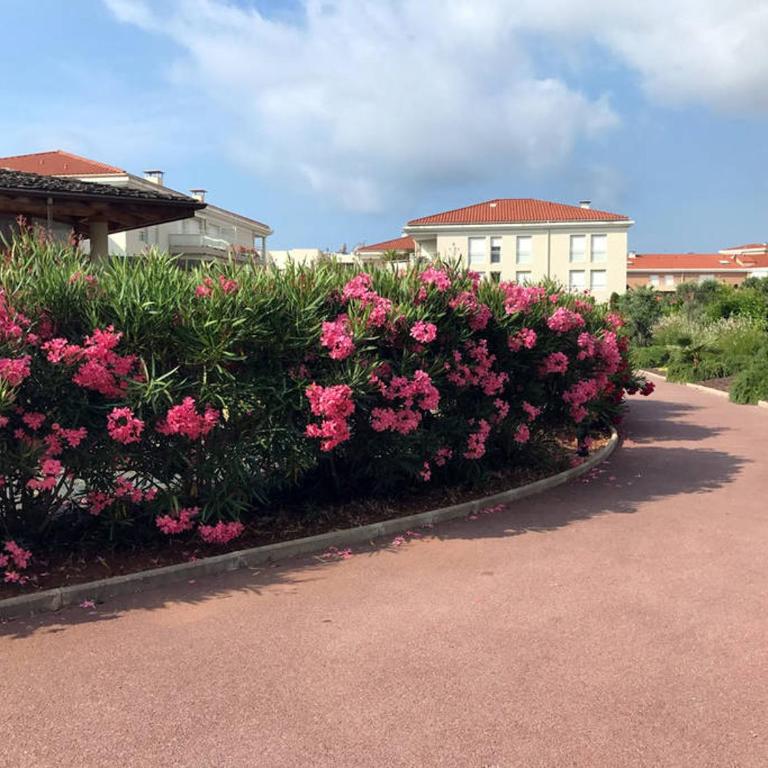 Bel appartement en bord de mer avec piscine lagon et jardin, en résidence sécurisée - Appartement 2 Chambres - 54