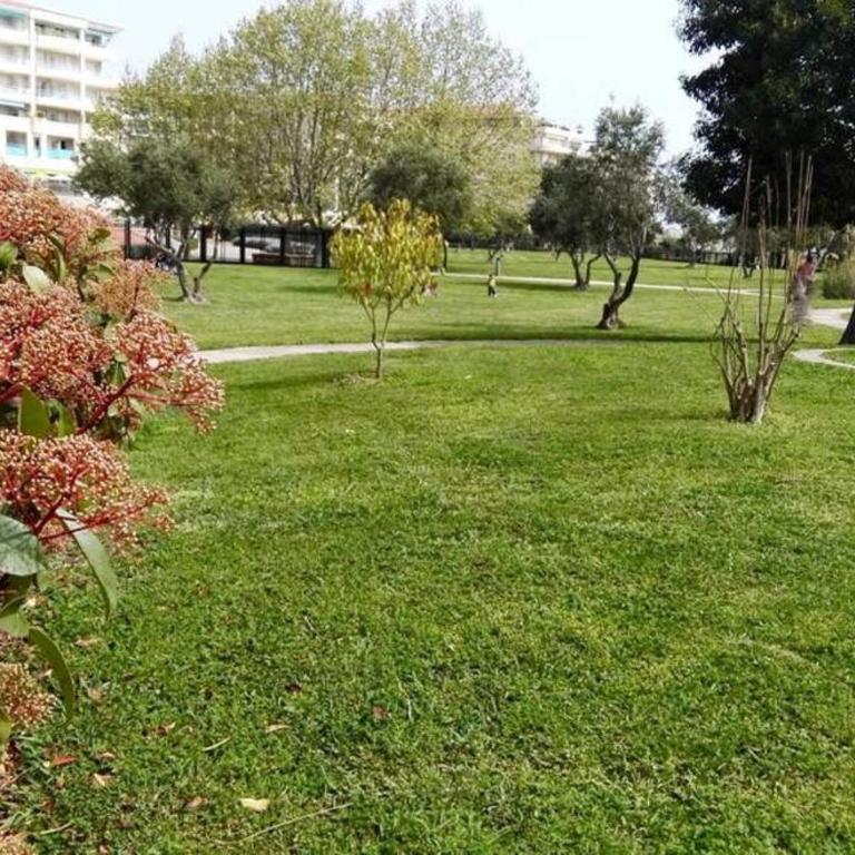 Bel appartement en bord de mer avec piscine lagon et jardin, en résidence sécurisée - Appartement 2 Chambres - 55
