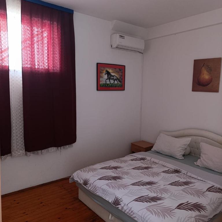 Apartments Salute - Apartment - Ground Floor - 10
