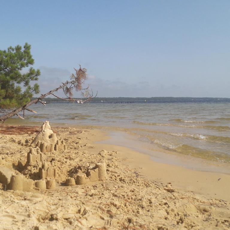 Maison du Lac avec plage privée - Maison 2 Chambres - 41