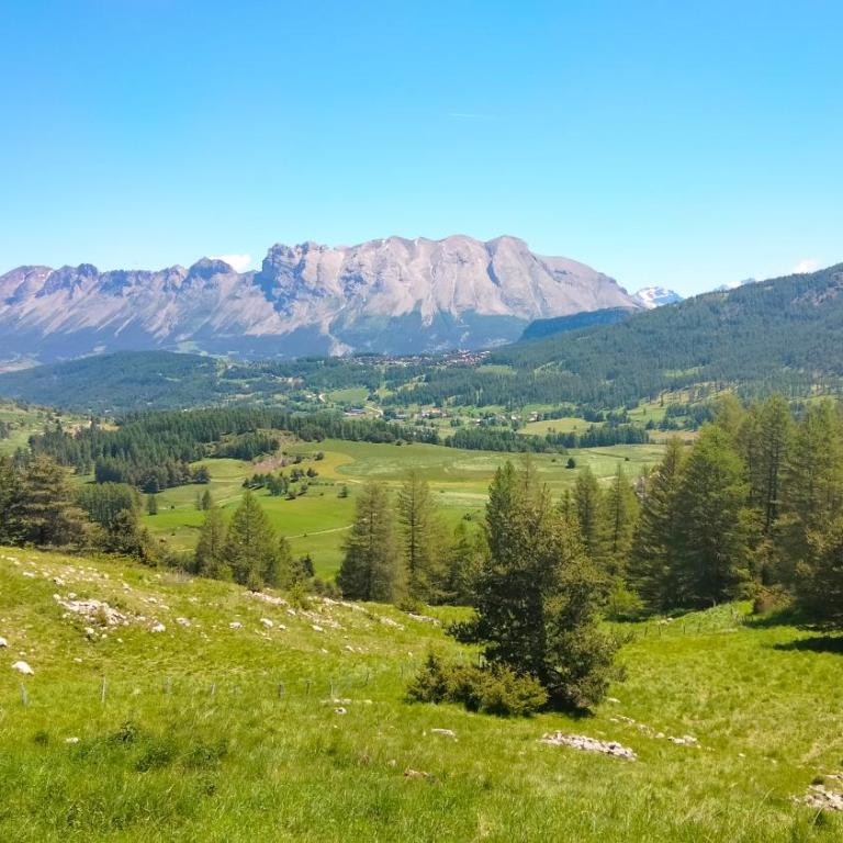 Le Vert Montagne Studio lumineux plein sud - Studio with Mountain View - 22