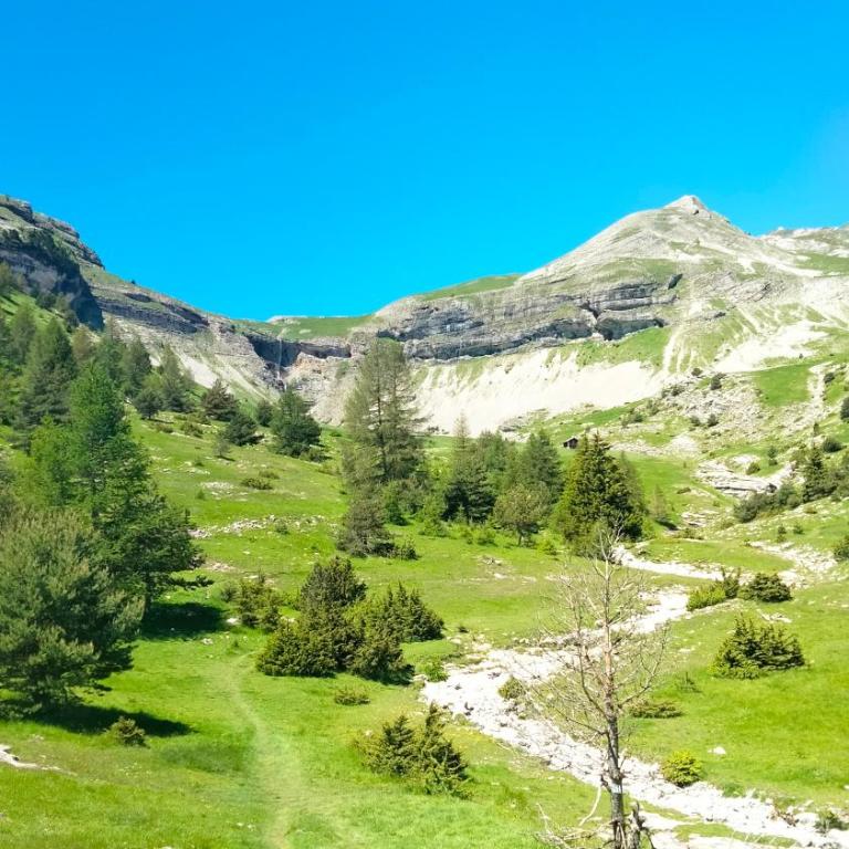 Le Vert Montagne Studio lumineux plein sud - Studio with Mountain View - 25