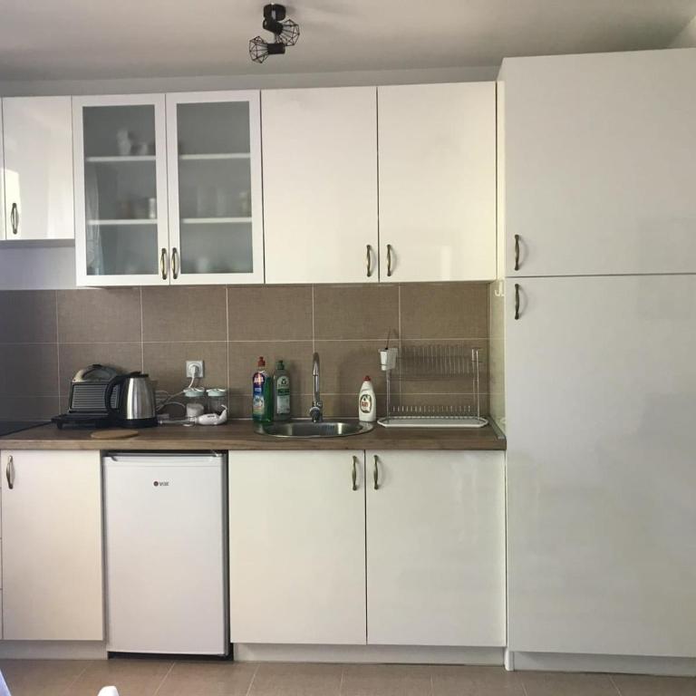 Apartman Djordjevići - Apartman sa 1 Spavaćom Sobom - 13